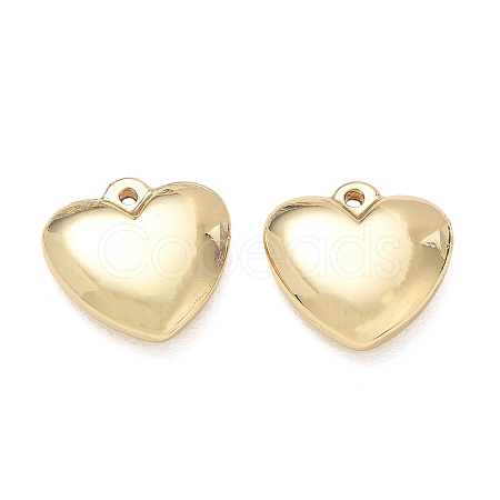 304 Stainless Steel Pendants SA-CBA3037-20G-09-1