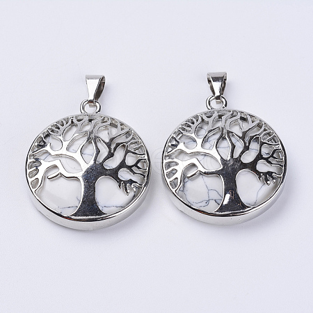 Natural Howlite Pendants G-P350-D11-1
