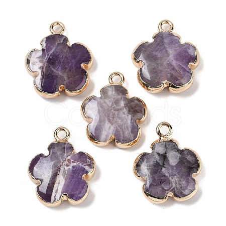 Natural Amethyst Pendants G-P566-01G-04-1