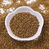 MIYUKI Delica Beads X-SEED-J020-DB0181-2