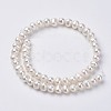 Natural Cultured Freshwater Pearl Beads Strands PEAR-D187-08-2