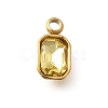 304 Stainless Steel Pendants STAS-Q346-03G-07-1