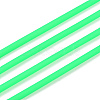 Hollow Pipe PVC Tubular Synthetic Rubber Cord RCOR-R007-2mm-77-3
