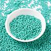 MIYUKI Round Rocailles Beads SEED-JP0009-RR4475-2