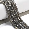 Natural Labradorite Beads Strands X-G-S333-6mm-035-01-2