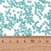 8/0 Round Glass Seed Beads SEED-J011-F8-178-4