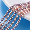 Natural Cultured Freshwater Pearl Beads Strands PEAR-N012-02D-1