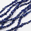Chips Natural Lapis Lazuli Beads Strands G-N0164-46-1