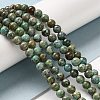 Natural Turquoise Beads Strands G-P506-04A-01-4