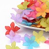 Translucent Acrylic Beads FACR-5335-M-1