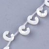 Sea Shell Beads X-SHEL-T012-60C-2