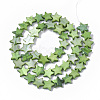 Freshwater Shell Beads Strands SHEL-T014-009C-2