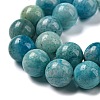 Natural Gemstone Hemimorphite Round Beads Strands G-L145-10mm-01-5