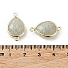 Natural Amazonite Links connectors G-L514-015E-5