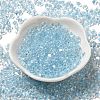 Glass Seed Beads SEED-K009-08A-15-2