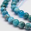 Natural Apatite Beads Strands G-D856-01-6.5mm-3