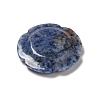 Natural Blue Spot Jasper Worry Stones G-E586-01U-3