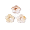 Two Tone Handmade Lampwork European Beads LAMP-N024-39-01A-1