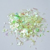 Plastic Candy Sequins/Paillette Chip DIY-I019-01K-2