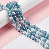 Electroplated Glass Beads Strands X-GLAA-C023-01J-2