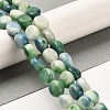 Natural Dolomite Beads Strands G-F765-K02-01-2