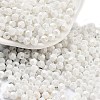 Baking Paint Glass Seed Beads SEED-A032-02D-1