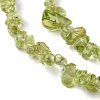 Natural Peridot Beads Strands G-G0003-B27-4