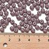 Opaque Colours Glass Seed Beads SEED-C001-02B-04-4
