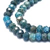 Natural Apatite Beads Strands G-F715-101B-3