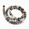 Natural African Bloodstone Beads Strands G-G735-32-8mm-2