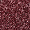 MIYUKI Delica Beads X-SEED-J020-DB2119-3
