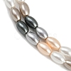 Electroplated Shell Pearl Beads Strands BSHE-H113-06C-03-3