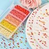 1900Pcs 5 Colors Baking Paint Glass Seed Beads SEED-YW0001-76B-4