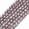 Natural Cultured Freshwater Pearl Beads Strands PEAR-J006-03B-1
