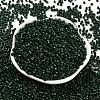 Baking Paint Glass Seed Beads X-SEED-S042-05A-22-2