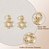 12Pcs Rack Plating Brass Micro Pave Cubic Zirconia Charms KK-HS0015-04-4