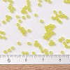 MIYUKI Delica Beads X-SEED-J020-DB0743-4