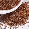 MIYUKI Delica Beads SEED-J020-DB0421-1
