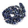 Natural Lapis Lazuli Beads Strands G-F703-05B-3