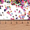 Baking Paint Glass Seed Beads SEED-S042-05B-48-4