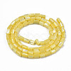 Natural Trochid Shell/Trochus Shell Beads Strands SHEL-N003-26-B10-2