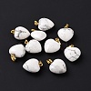 Natural Howlite Pendants G-I311-A31-G-4