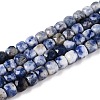 Natural Blue Spot Jasper Beads Strands G-N342-113-1