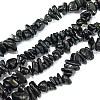 Natural Black Tourmaline Chip Bead Strands X-G-L444-08-2