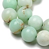 Natural Green Opal Beads Strands G-R494-A08-03-3