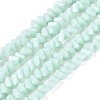 Opaque Glass Beads Strands GLAA-N019-3mm-14-1