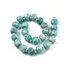 Natural Amazonite Beads Strands G-N327-08F-2