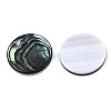 Natural Abalone Shell/Paua Shell Cabochons SSHEL-N034-72C-01-2