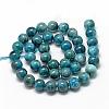 Natural Apatite Beads Strands G-R446-10mm-11-2