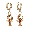 Lobster Brass Micro Pave Cubic Zirconia Dangle Hoop Earrings EJEW-JE07171-2